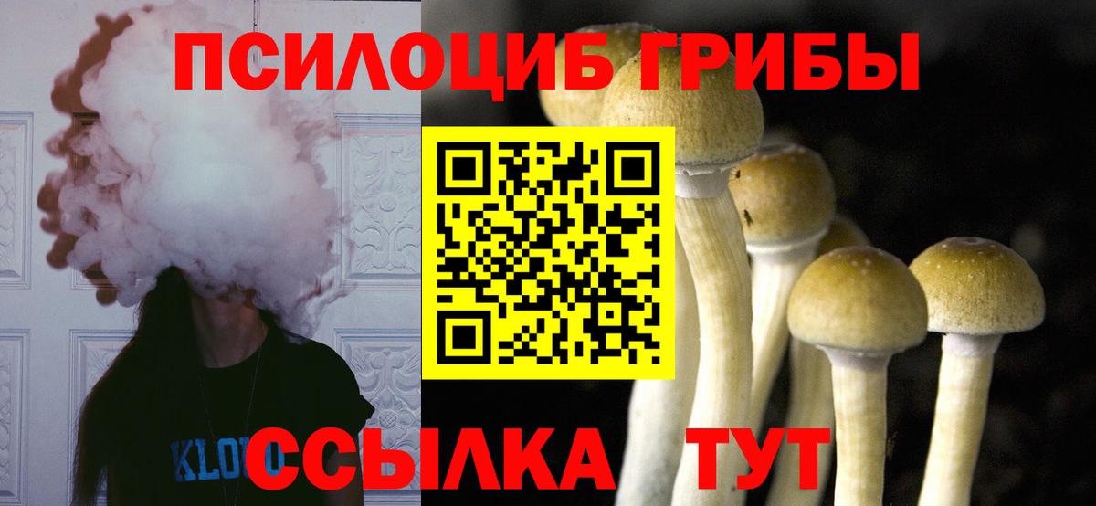 Псилоцибиновые грибы ЛСД  Вход с VPN  Карталы 